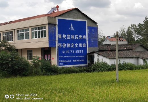 响水决定墙体广告价格的因素有哪些?